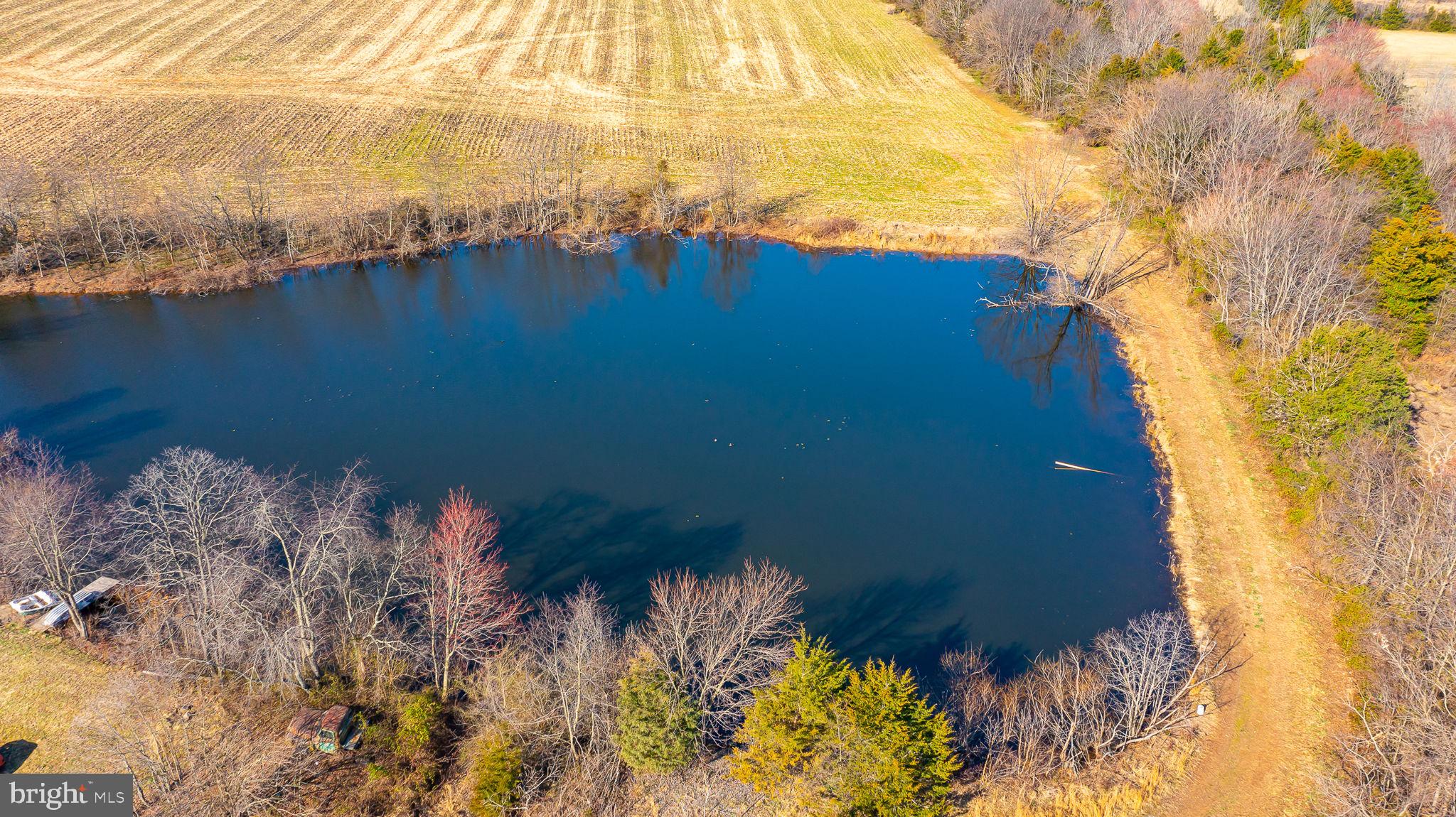 Glen Ella Road Culpeper, VA 22701 - Photo 14 of 18 Gallery Image 14