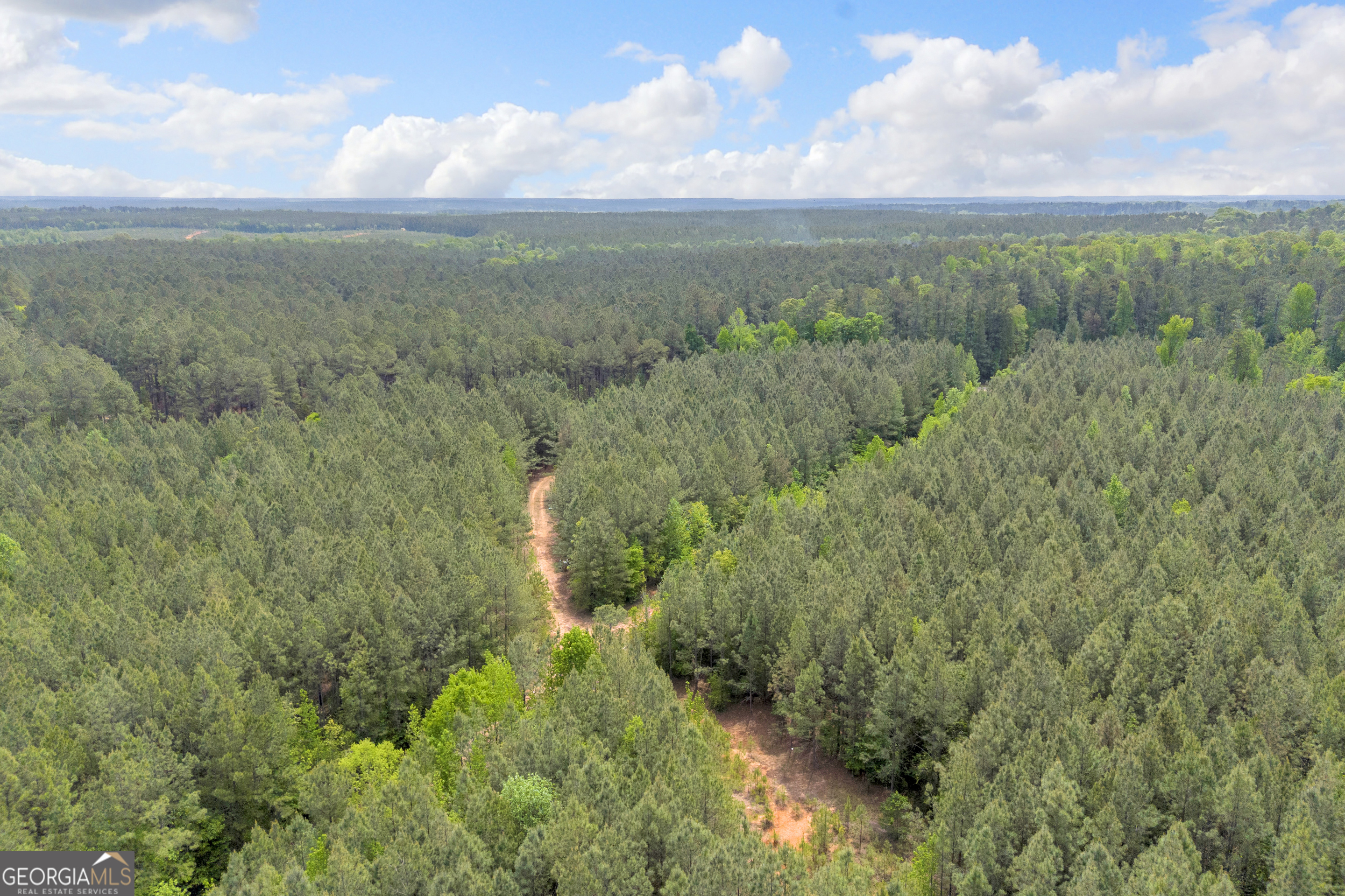 0 Upper Mill Road Northeast Crawfordville, GA 30631 - Photo 17 of 29 a view of a green field with lots of bushes