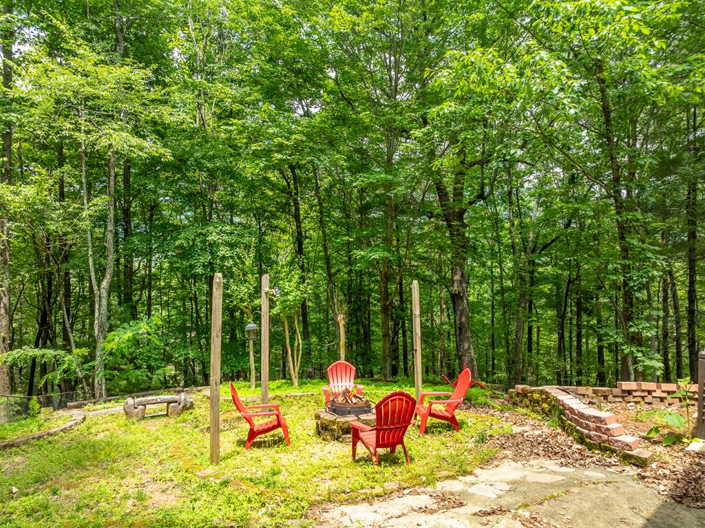 60 Laurel Ridge Court Ellijay, GA 30536 - Photo 7 of 45 Gallery Image 7