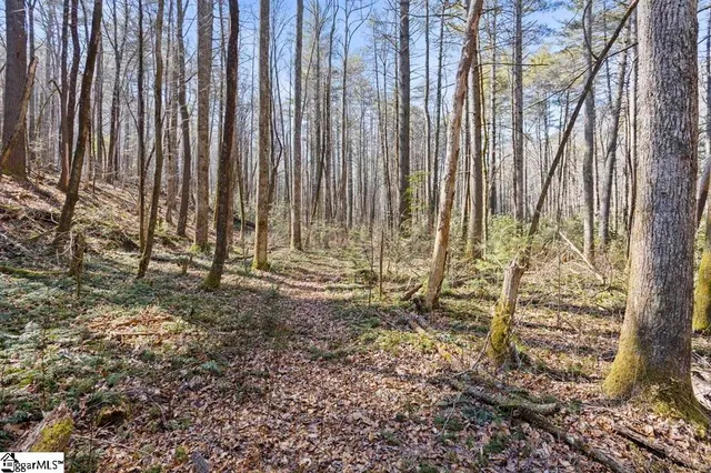 $9,000,000 | 3772 Bear Paw Ridge Road, Zirconia, NC 28790