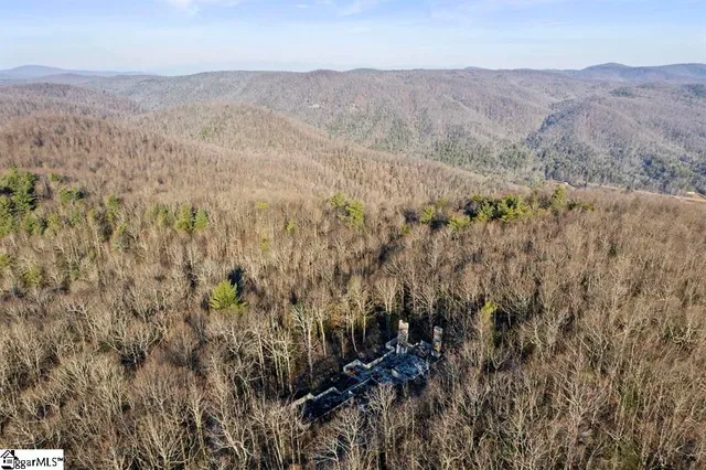 $9,000,000 | 3772 Bear Paw Ridge Road, Zirconia, NC 28790