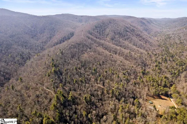 $9,000,000 | 3772 Bear Paw Ridge Road, Zirconia, NC 28790