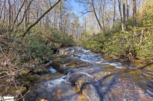 $9,000,000 | 3772 Bear Paw Ridge Road, Zirconia, NC 28790