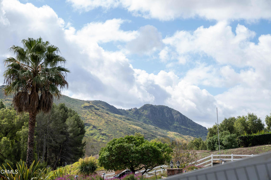 12075 East Pradera Road Camarillo, CA 93012 - Photo 54 of 54 a view of a city with flower in a garden