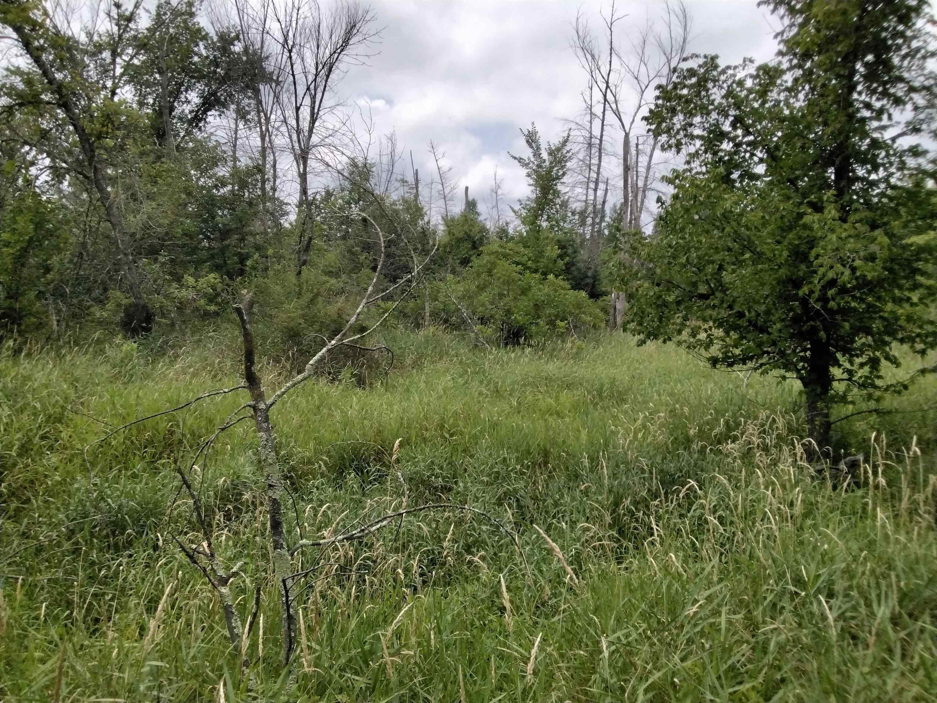 W3021 County Rd C Montello, WI 53949 - Photo 12 of 30