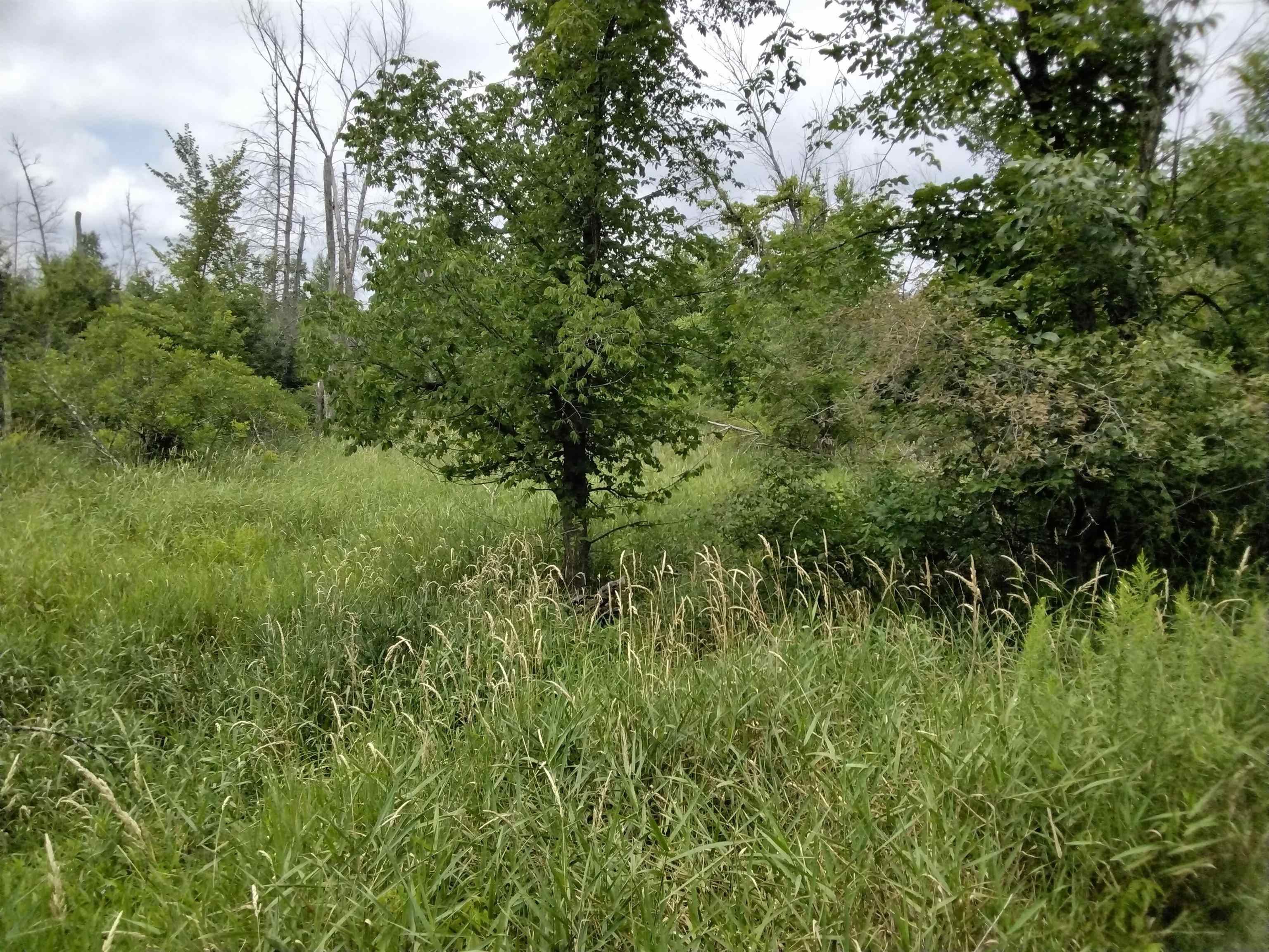 W3021 County Rd C Montello, WI 53949 - Photo 13 of 30