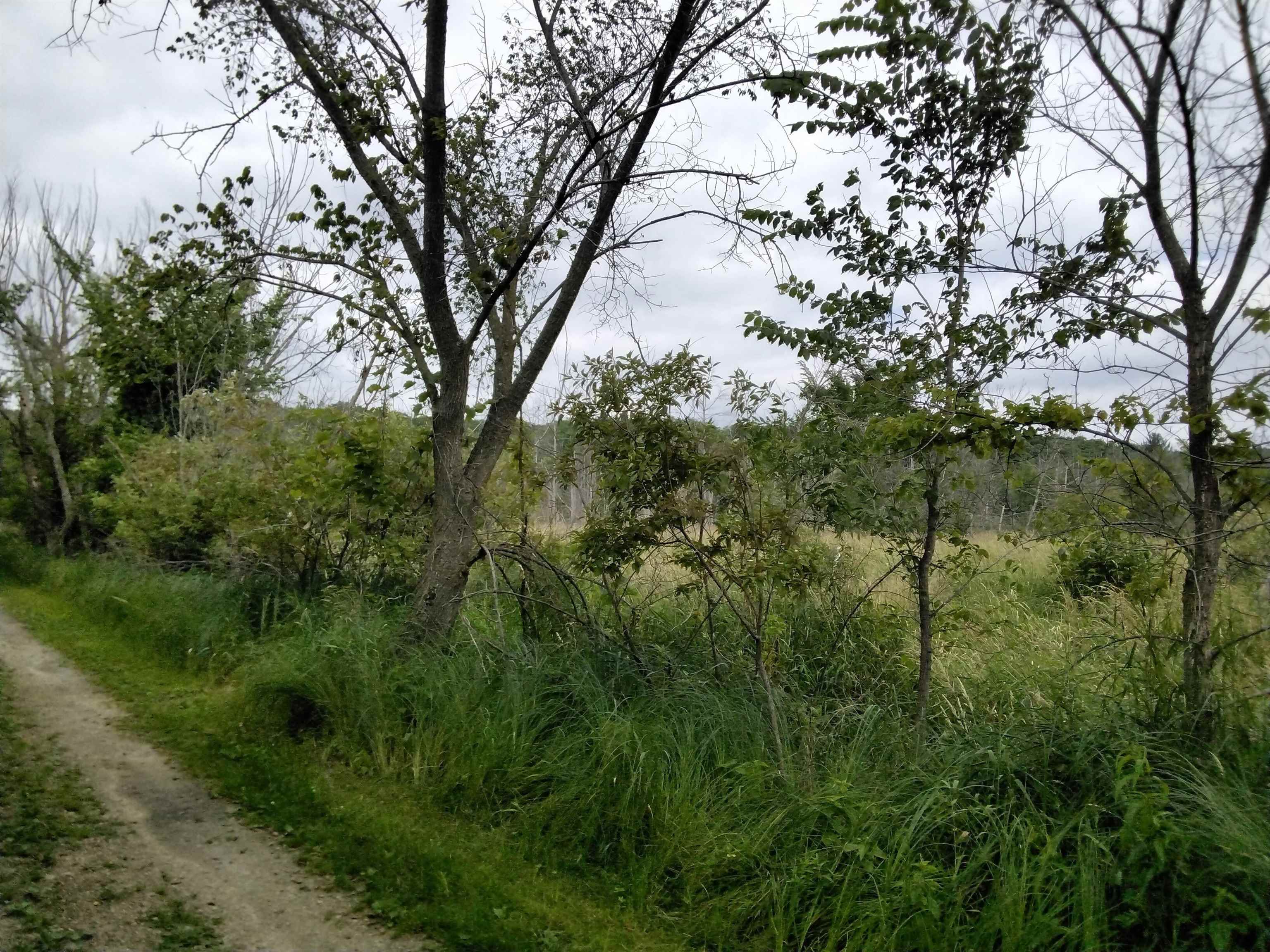 W3021 County Rd C Montello, WI 53949 - Photo 27 of 30