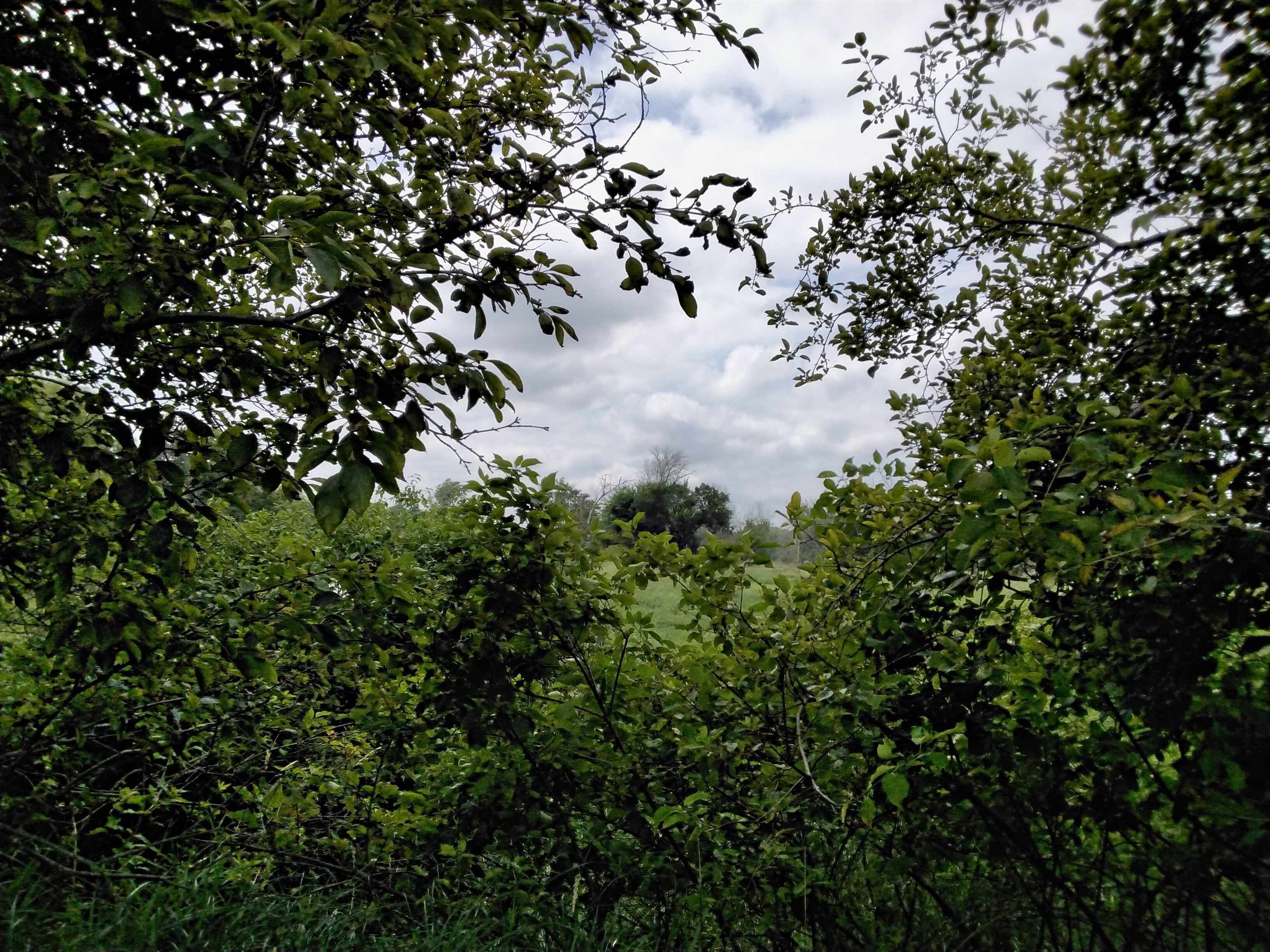 W3021 County Rd C Montello, WI 53949 - Photo 28 of 30