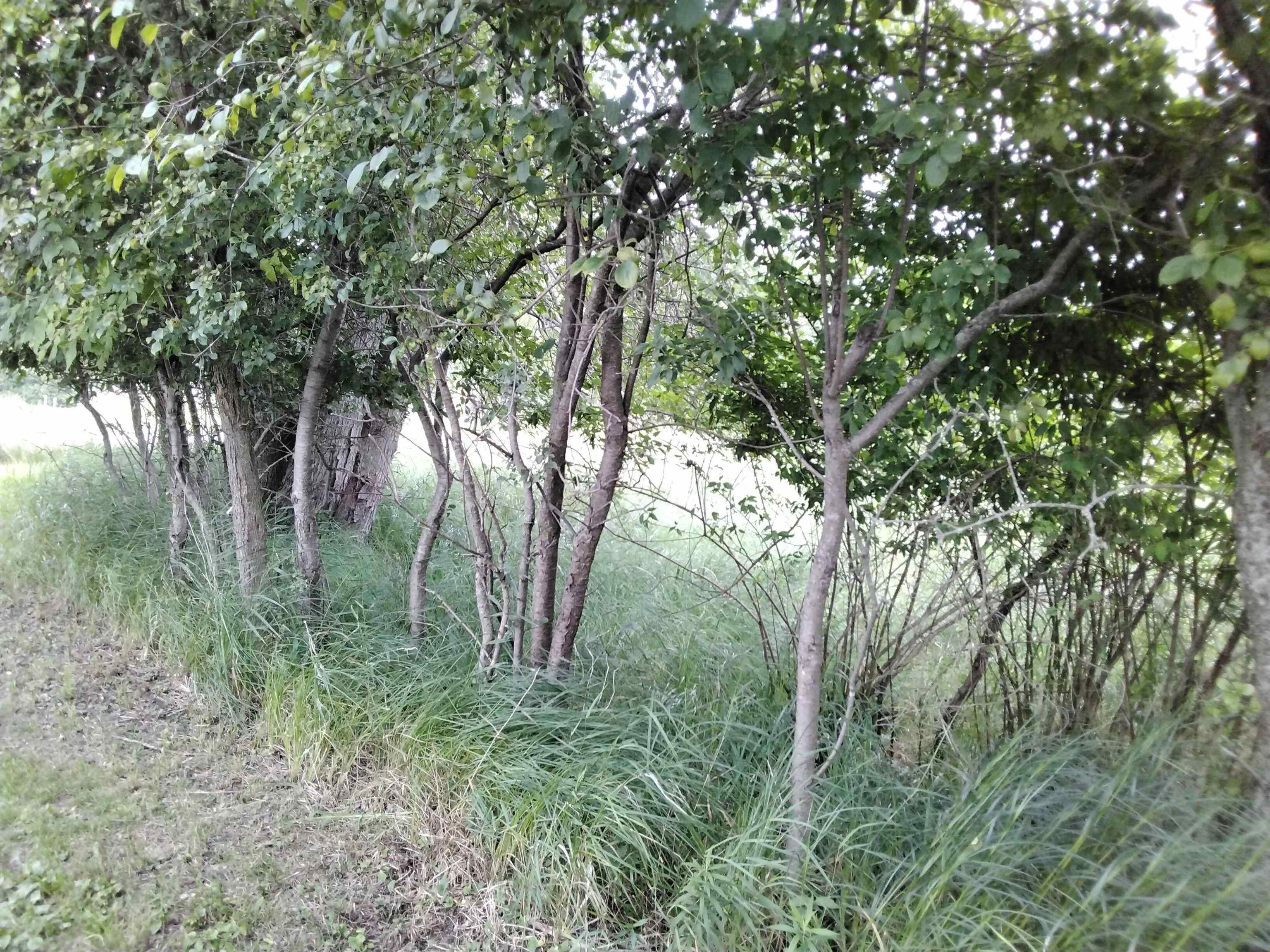 W3021 County Rd C Montello, WI 53949 - Photo 29 of 30