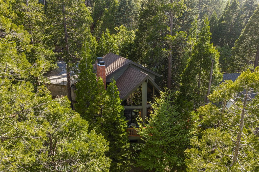240 Blue Lake Road Lake Arrowhead, CA 92352 - Photo 29 of 31