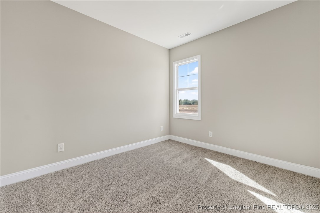 451 Delmore Road Autryville, NC 28318 - Photo 19 of 40 Gallery Image 19