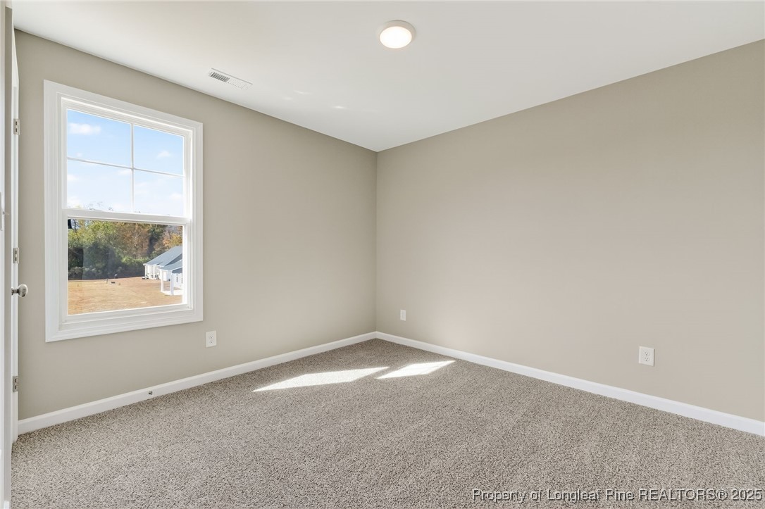 451 Delmore Road Autryville, NC 28318 - Photo 21 of 40 Gallery Image 21
