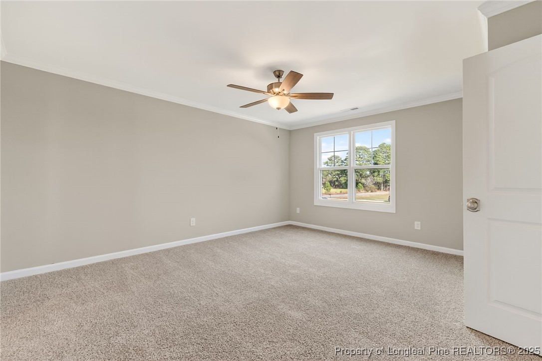 451 Delmore Road Autryville, NC 28318 - Photo 30 of 40 Gallery Image 30