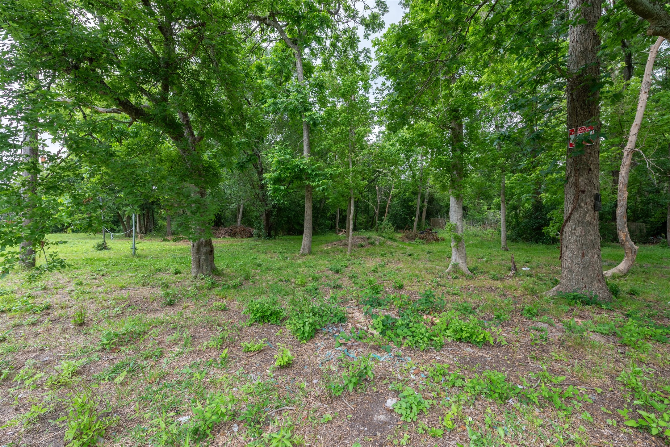 4102 Kinkaid Street Houston, TX 77093 - Photo 11 of 22