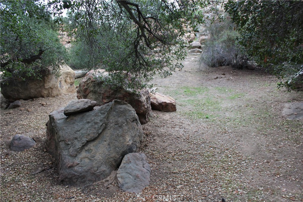 160 Stagecoach Road Bell Canyon, CA 91307 - Photo 6 of 10 a view of a dry yard with trees