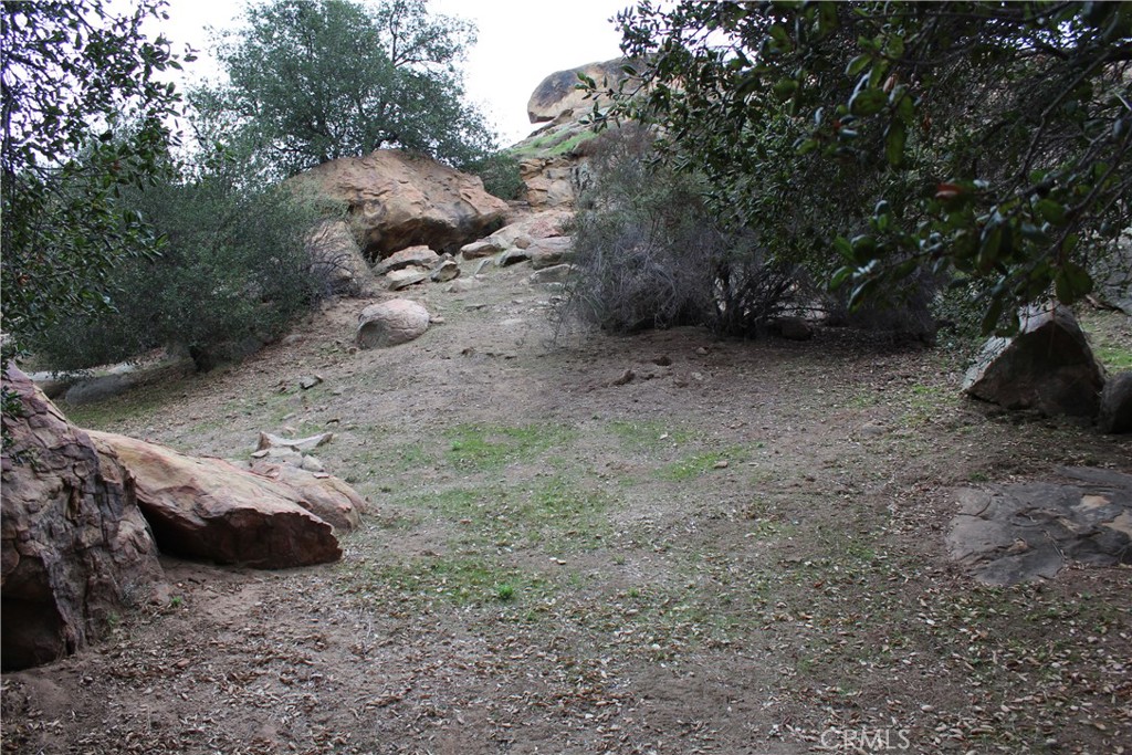 160 Stagecoach Road Bell Canyon, CA 91307 - Photo 7 of 10 a view of a dry yard with trees and stairs