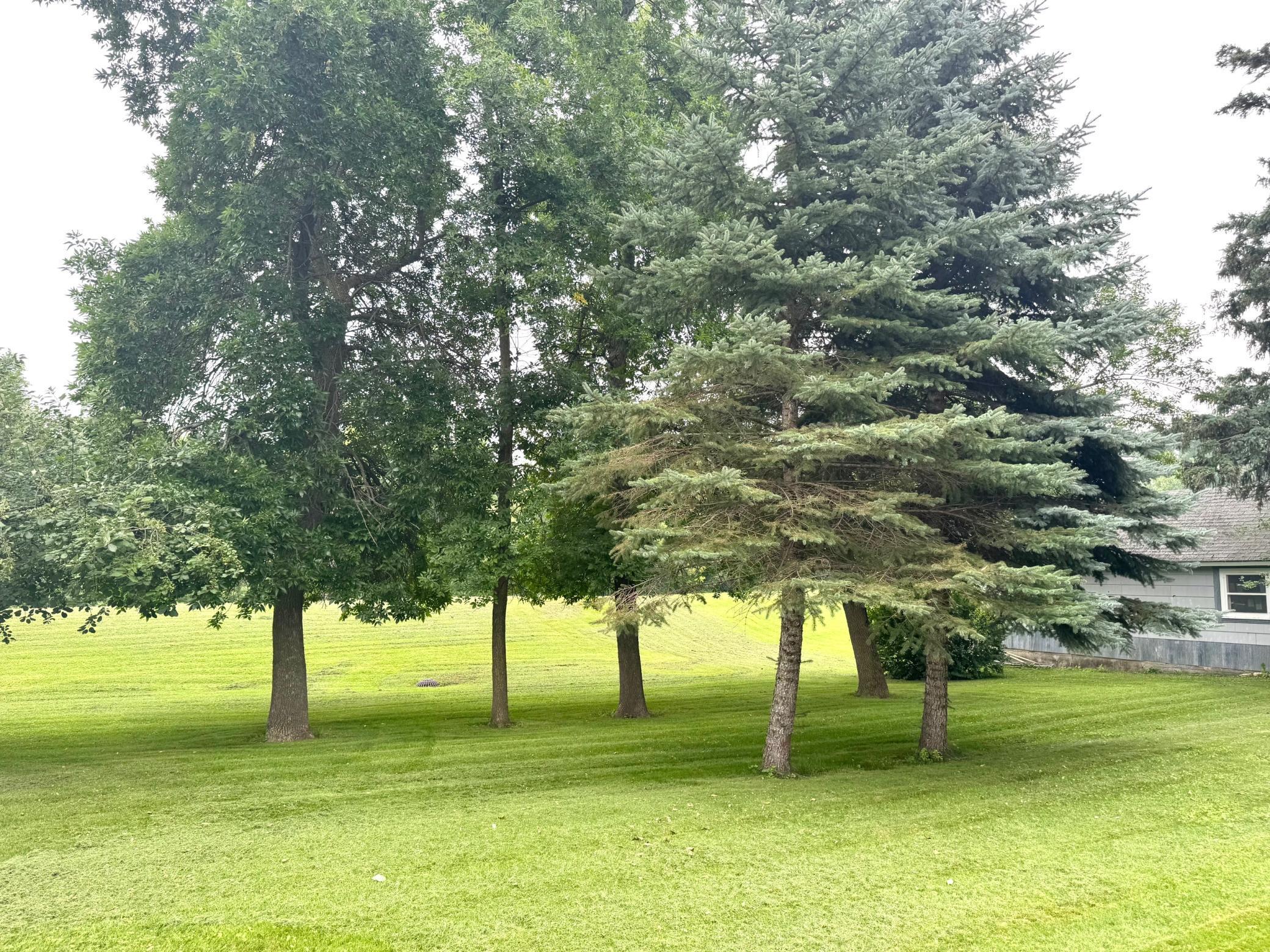 404 Main Avenue North Roseau, MN 56751 - Photo 26 of 26