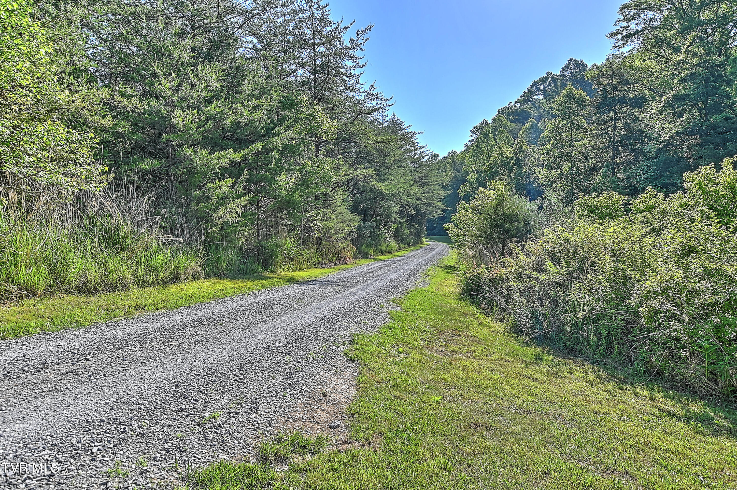 3388 Flower Gap Road Blackwater, VA 24221 - Photo 143 of 161 3388 Flower Gap Rd DS