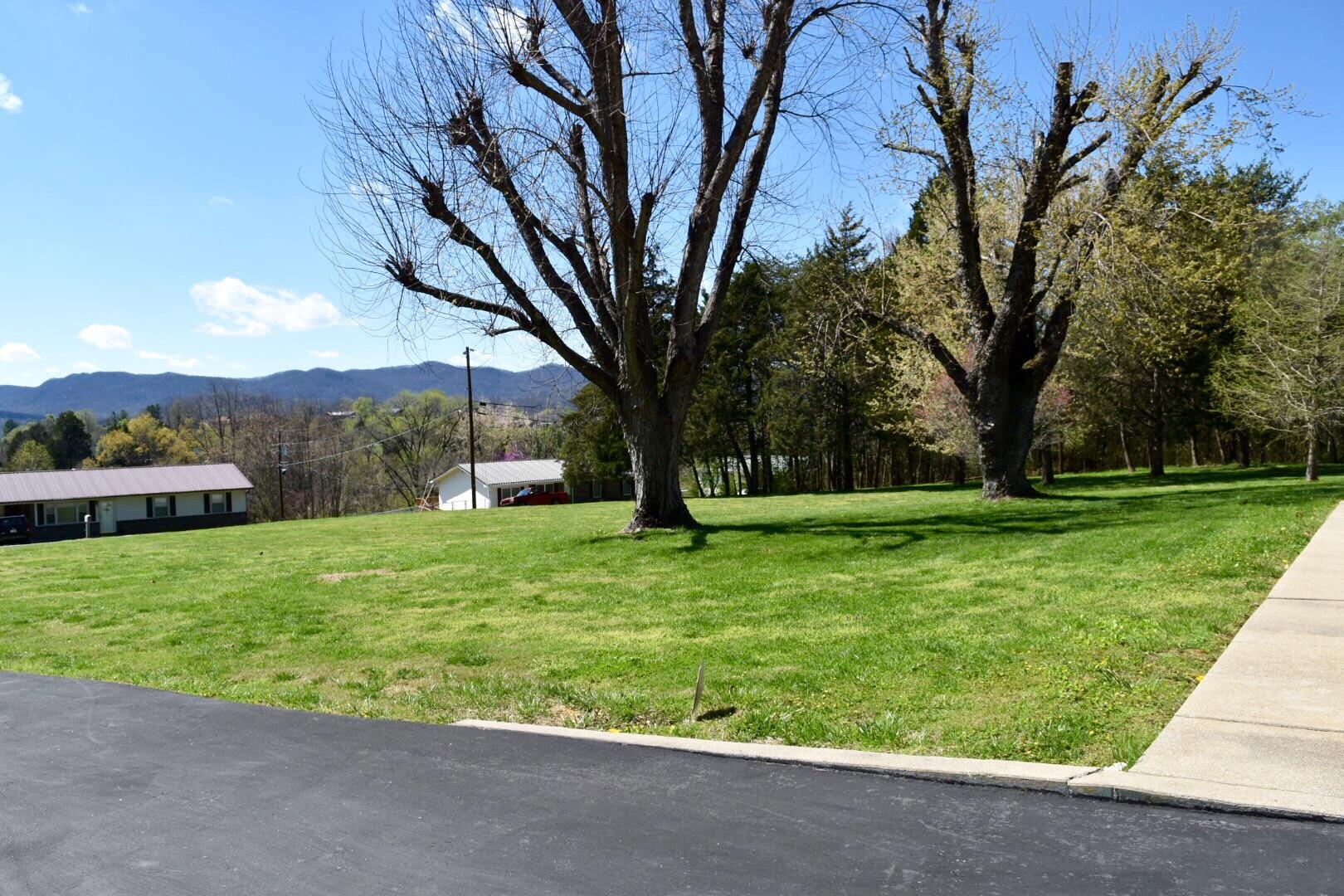 169 Stratford Road Harrogate, TN 37752 - Photo 3 of 20 Front yard side