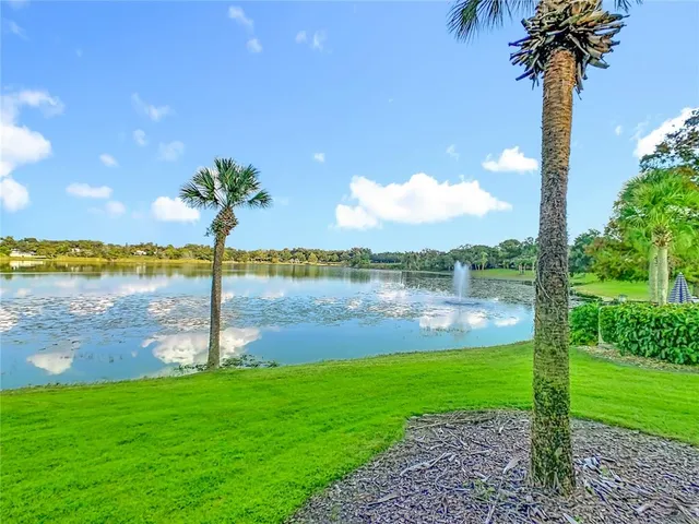 a view of a lake with a palm tree