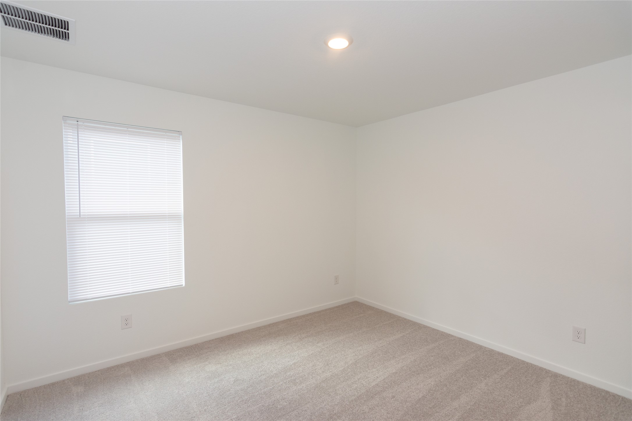 153 Star Packer Lane Jarrell, TX 76537 - Photo 18 of 30 A well-lit bedroom offering a neutral canvas for personalized decor, with soft carpeting underfoot and a window for natural light.