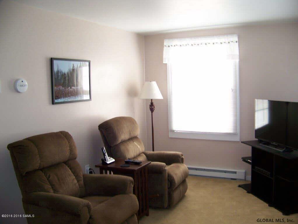 5 Trout Brook Road Minerva, NY 12857 - Photo 4 of 15 Photo 4