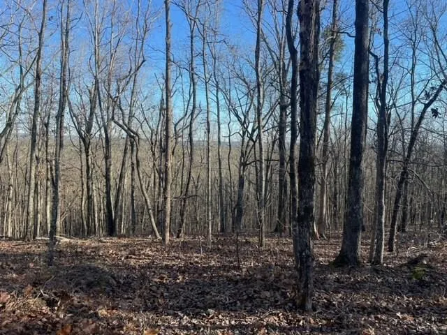 $10,000 | -lot4 Lot4 Mountain Ridge Drive, Talbotton, GA 31827