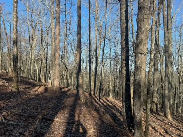 $10,000 | -lot4 Lot4 Mountain Ridge Drive, Talbotton, GA 31827