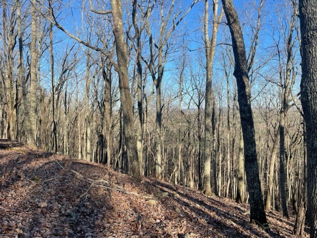 -lot4 Lot4 Mountain Ridge Drive Talbotton, GA 31827 - Photo 4 of 13