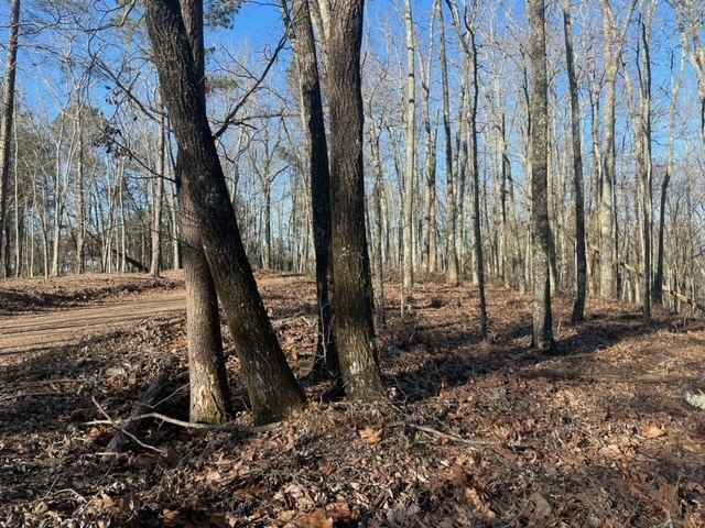 -lot4 Lot4 Mountain Ridge Drive Talbotton, GA 31827 - Photo 6 of 13