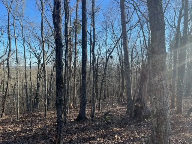 $10,000 | -lot4 Lot4 Mountain Ridge Drive, Talbotton, GA 31827