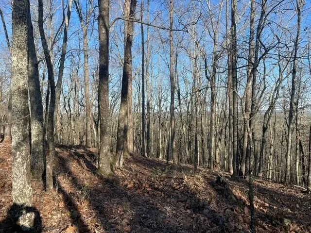 $10,000 | -lot4 Lot4 Mountain Ridge Drive, Talbotton, GA 31827