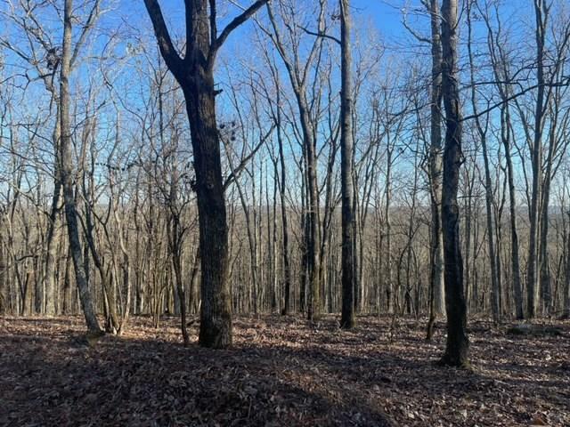 -lot4 Lot4 Mountain Ridge Drive Talbotton, GA 31827 - Photo 10 of 13