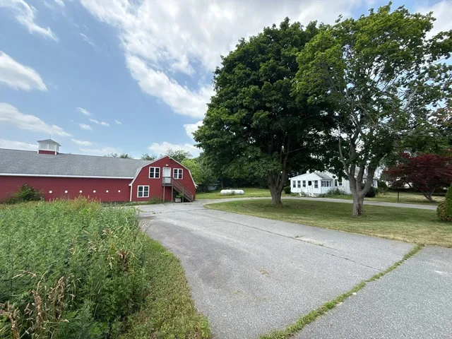 a view of a park with large trees