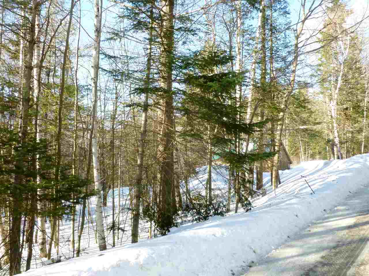 Mt Cleveland Road Bethlehem, NH 03574 - Photo 1 of 6