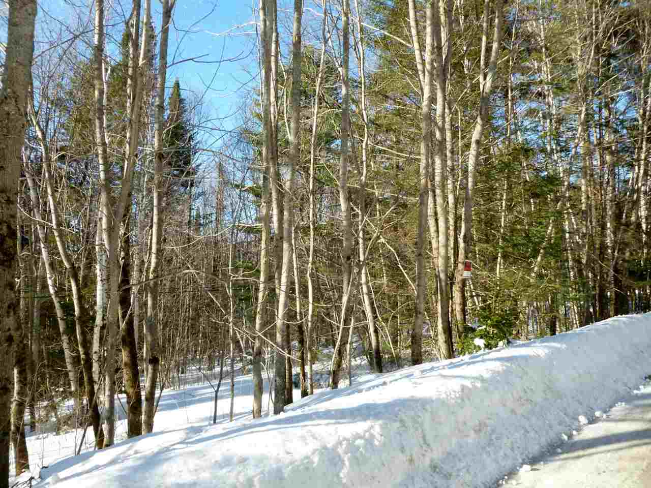 Mt Cleveland Road Bethlehem, NH 03574 - Photo 2 of 6