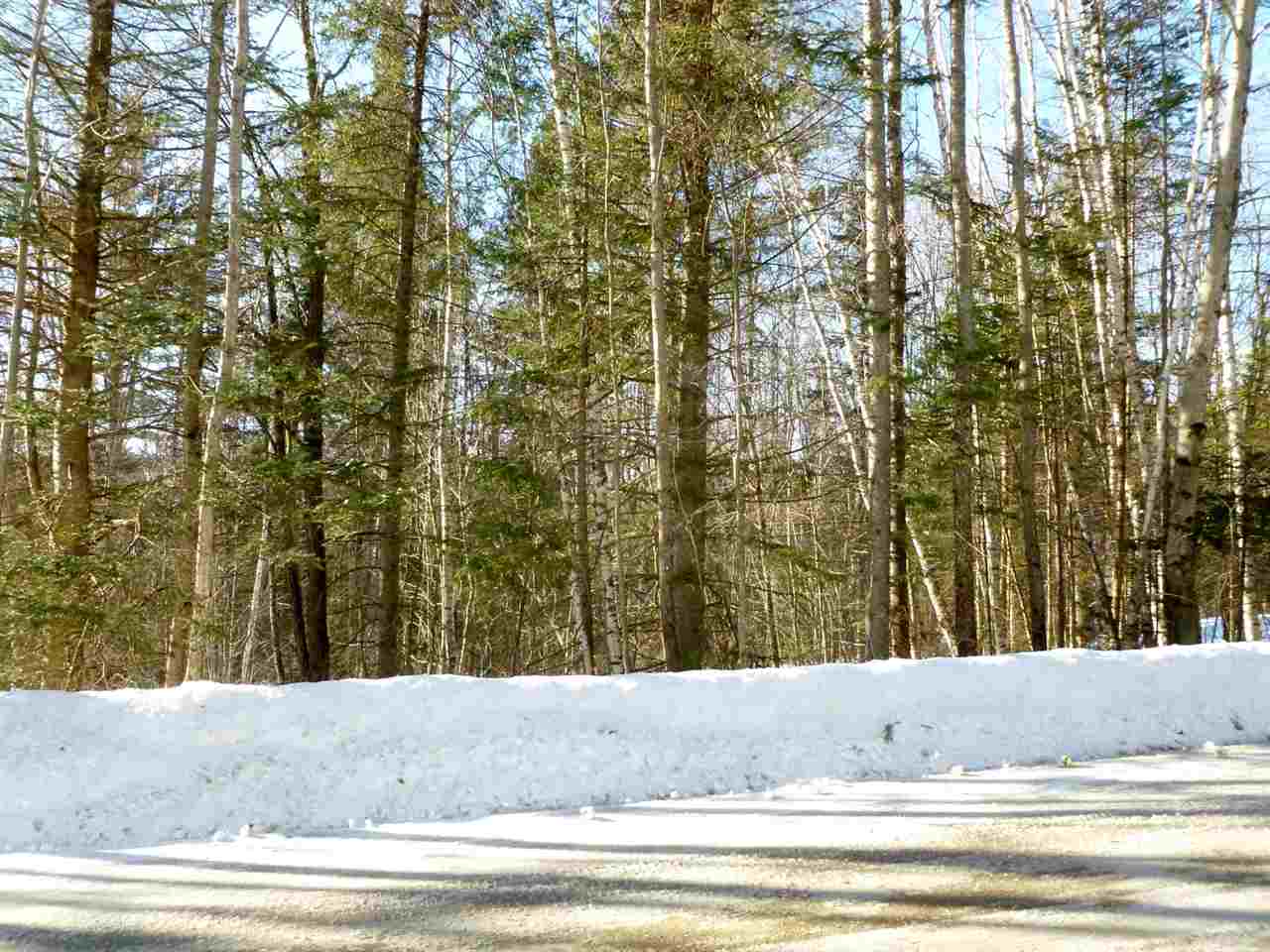 Mt Cleveland Road Bethlehem, NH 03574 - Photo 3 of 6