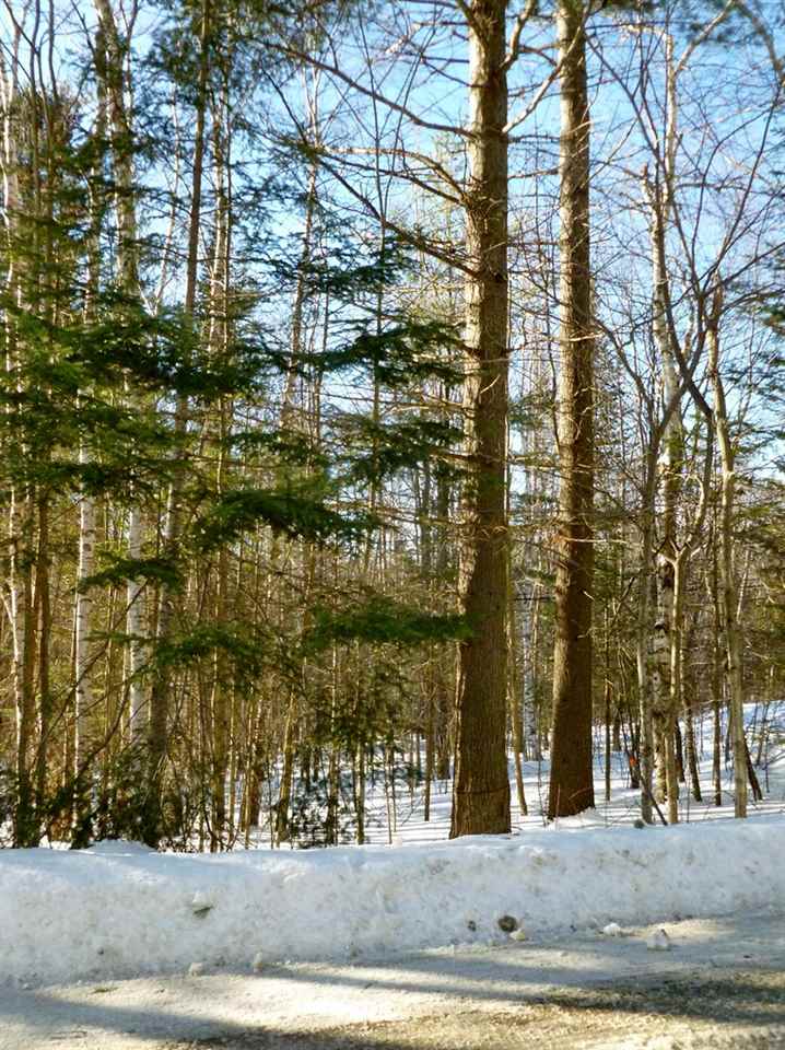 Mt Cleveland Road Bethlehem, NH 03574 - Photo 4 of 6