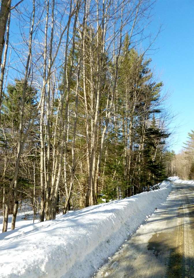Mt Cleveland Road Bethlehem, NH 03574 - Photo 5 of 6