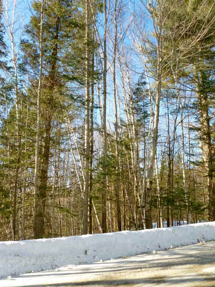 Mt Cleveland Road Bethlehem, NH 03574 - Photo 6 of 6