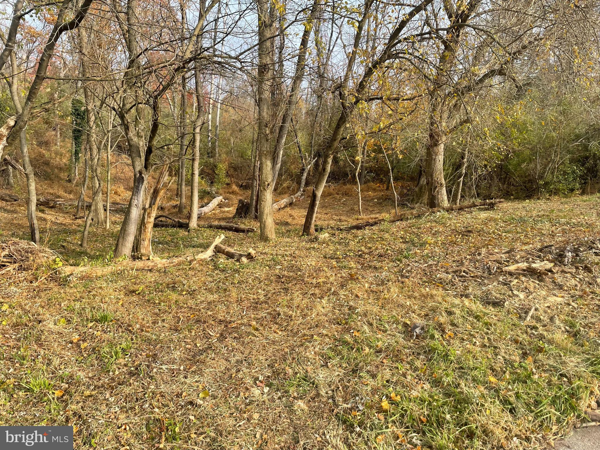 17 Cromby Road Phoenixville, PA 19460 - Photo 2 of 5 a backyard of a house with lots of green space