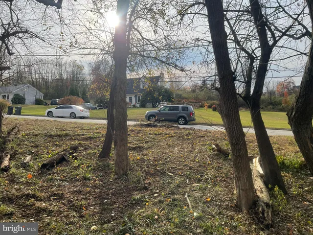 a view of yard with tree