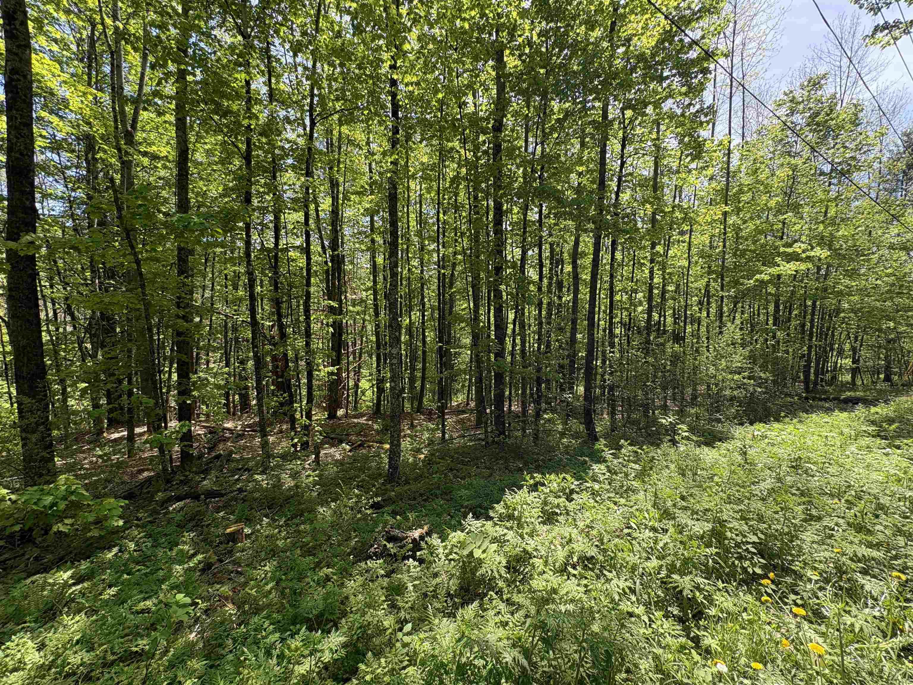 0 Bear Hill Road Randolph, VT 05060 - Photo 9 of 15