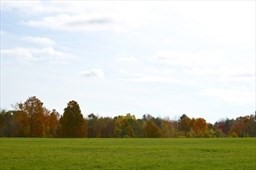 Lot A Paige Hill Road Brimfield, MA 01010 - Photo 4 of 5