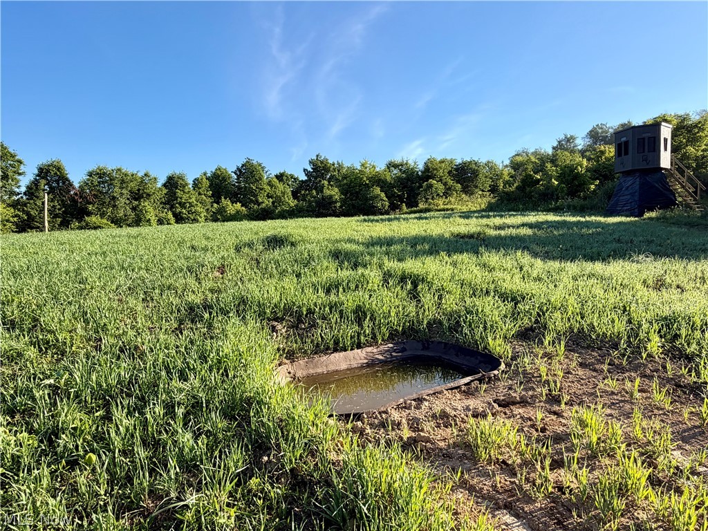 Sykes Ridge Road Clarington, OH 43915 - Photo 23 of 42