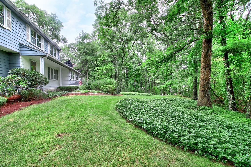 58 Tamarack Road Westwood, MA 02090 - Photo 2 of 27 Gallery Image 2