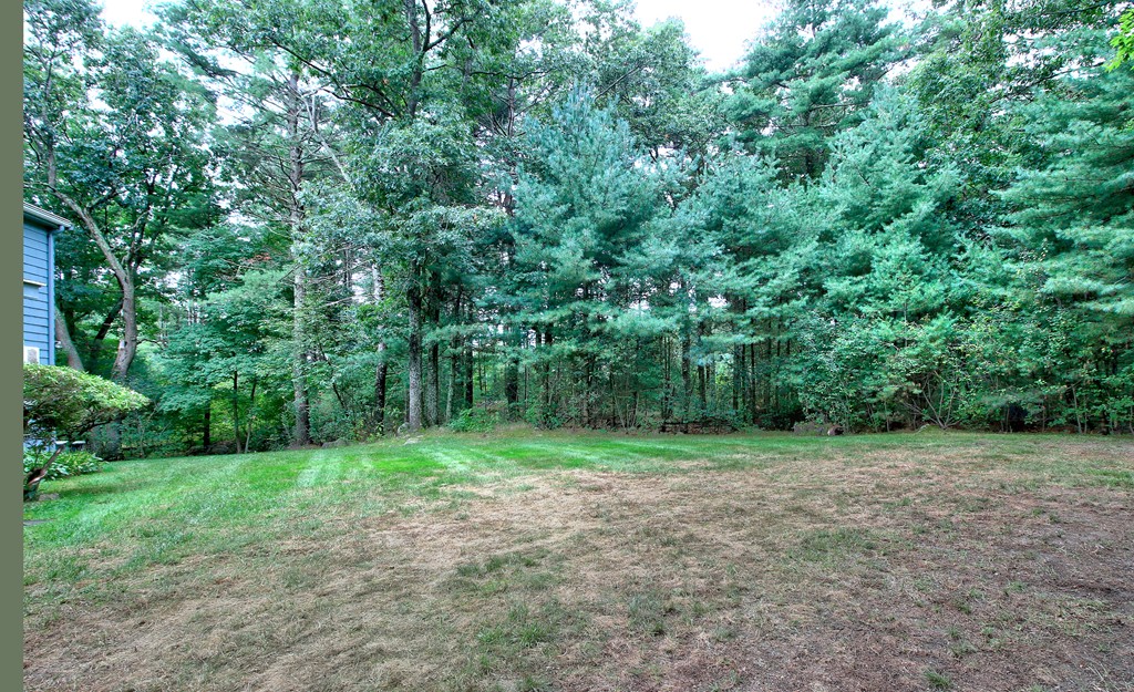 58 Tamarack Road Westwood, MA 02090 - Photo 26 of 27 Gallery Image 26