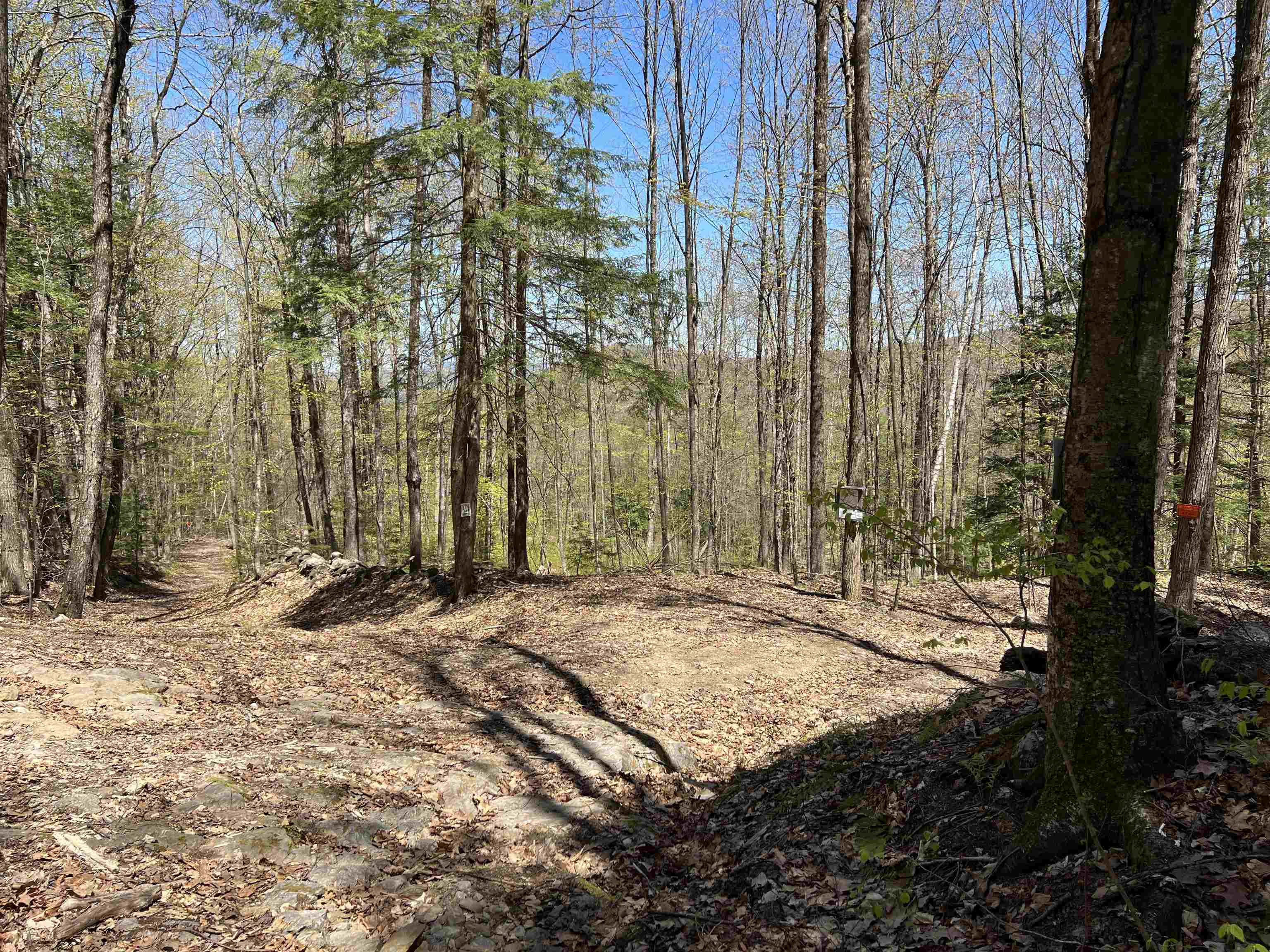 0 Ramsay Hill Road Walpole, NH 03608 - Photo 11 of 20