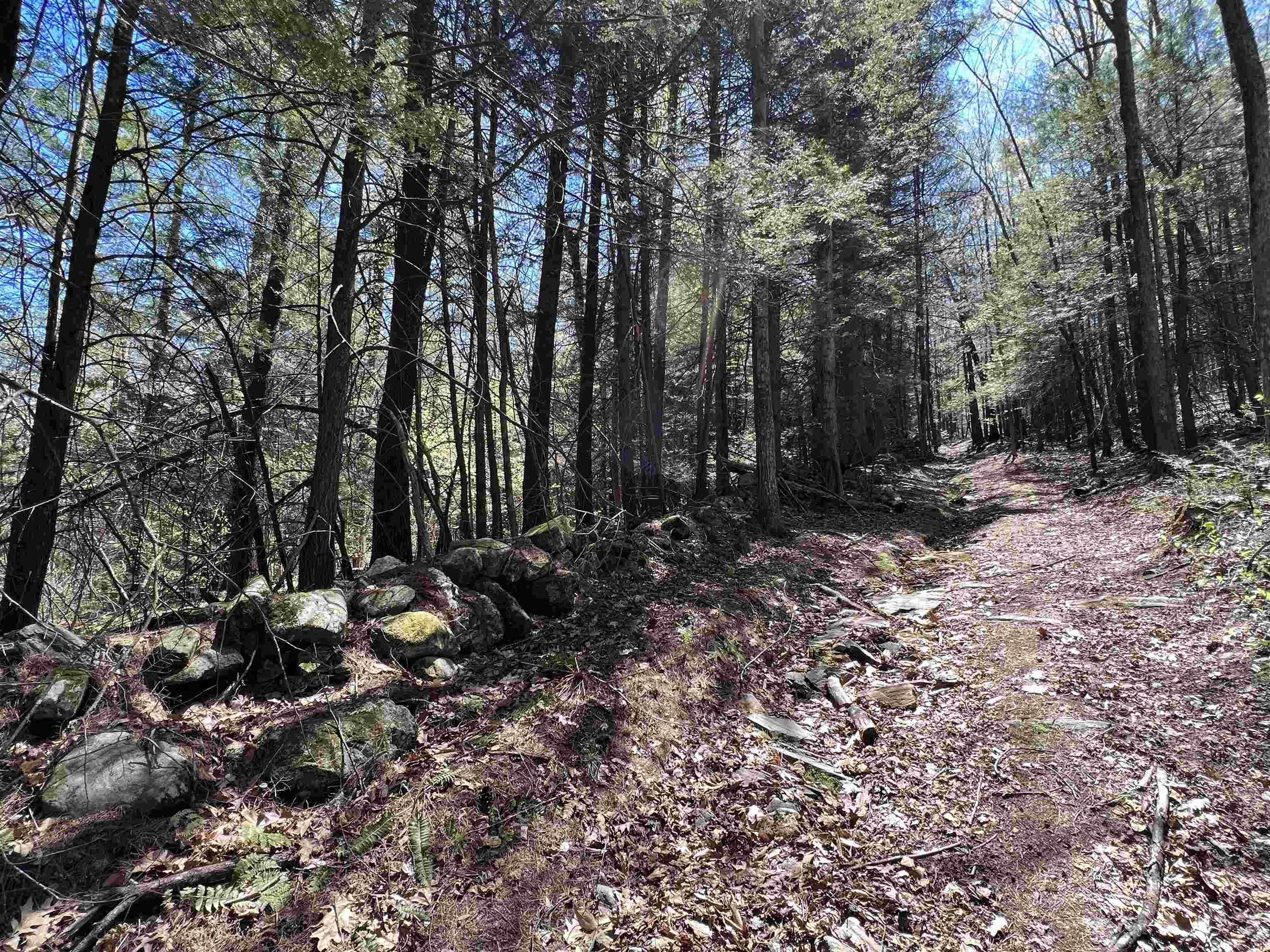 0 Ramsay Hill Road Walpole, NH 03608 - Photo 16 of 20
