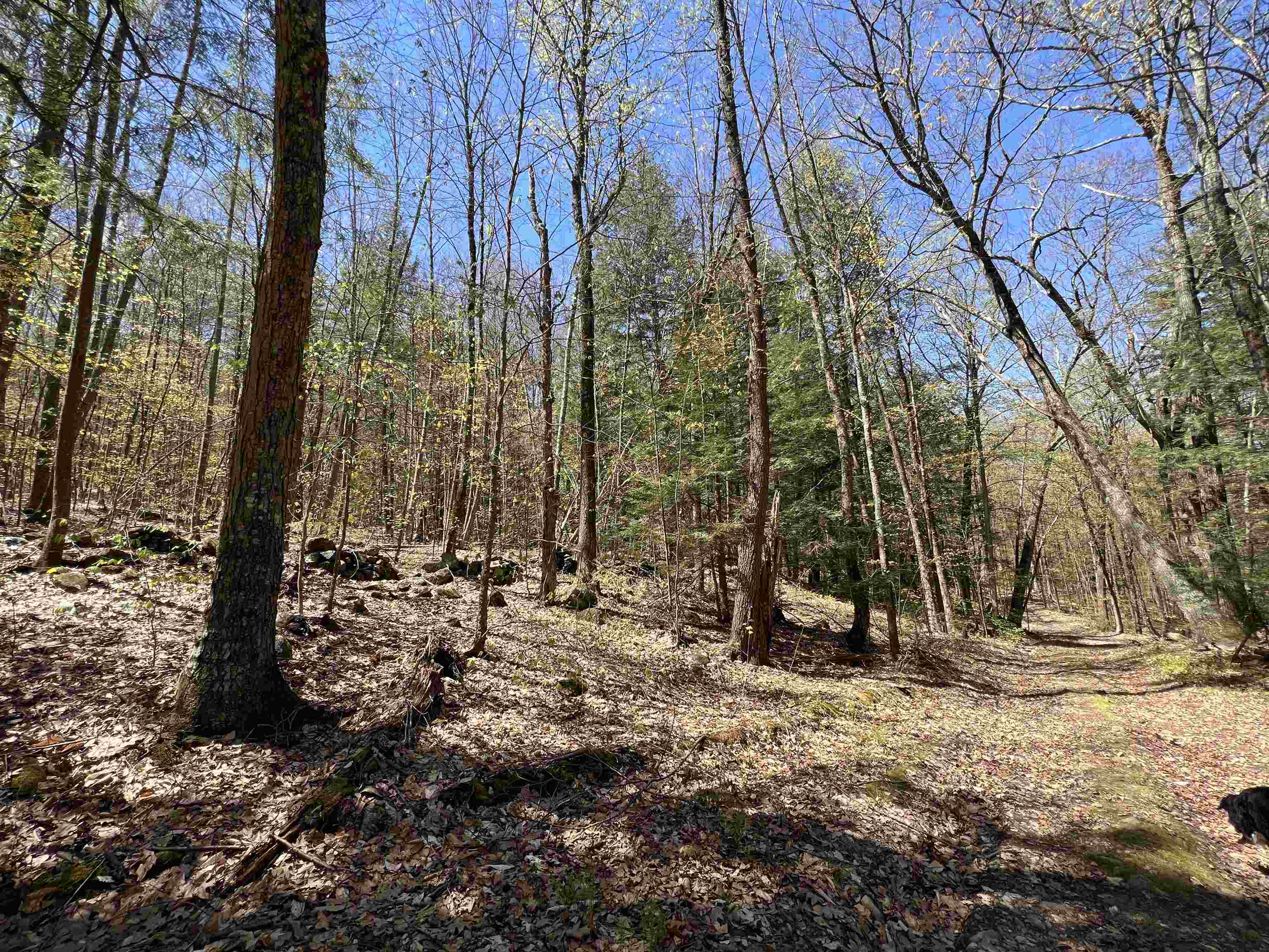 0 Ramsay Hill Road Walpole, NH 03608 - Photo 6 of 20